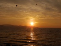 /album/galerie-de-photos-notre-hotel/pc080069-jpg1/