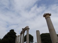 /album/galerie-de-photos-le-sitedephese/pc090218-jpg/