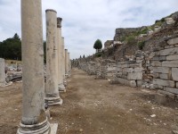 /album/galerie-de-photos-le-sitedephese/pc090383-jpg/