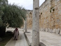 /album/la-mosquee-disa-bey/pc090475-jpg/