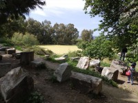 /album/le-temple-dartemis-ou-artemision-/pc090496-jpg/