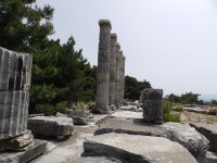 /album/galerie-de-photos-le-site-de-priene/pc100579-jpg/