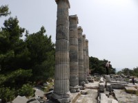 /album/galerie-de-photos-le-site-de-priene/pc100584-jpg/